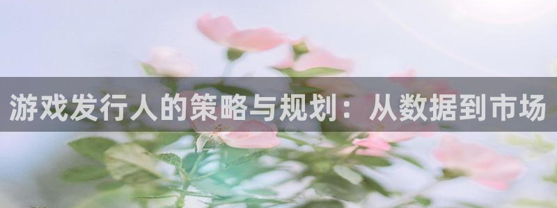 陕西雷火竞技子文化创意骗局：游戏发行人的策略与规划：从数据到市场