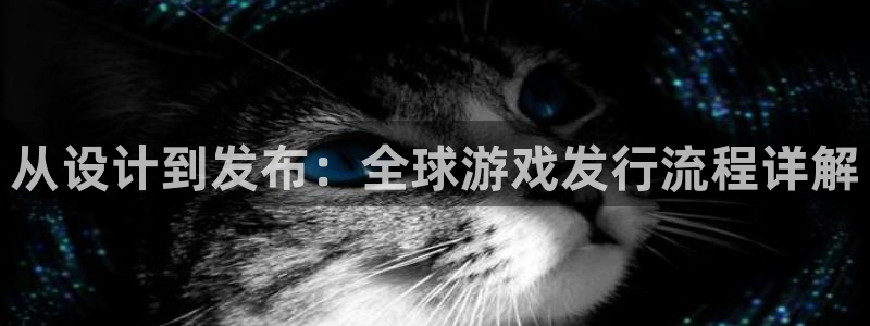 陕西雷火竞技子文化创意有限公司有什么游戏：从设计到发布：全球游戏发行流程详解