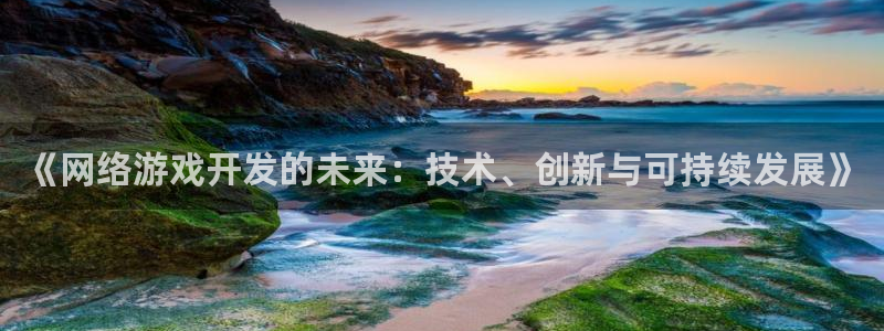 雷火竞技技术有限公司招聘：《网络游戏开发的未来：技术、创新与可持续发展》
