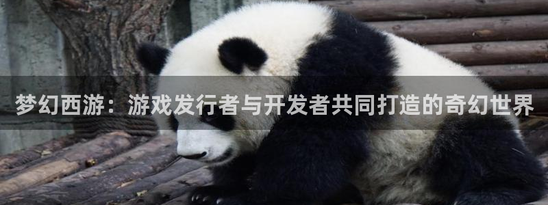 雷火电竞登录注册账号失败怎么办