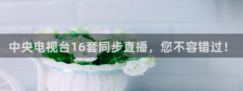 搜球体育官网：中央电视台16套同步直播，您不容错过！