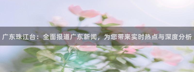 搜球吧8直播：广东珠江台：全面报道广东新闻，为您带来实时热点与深度分析