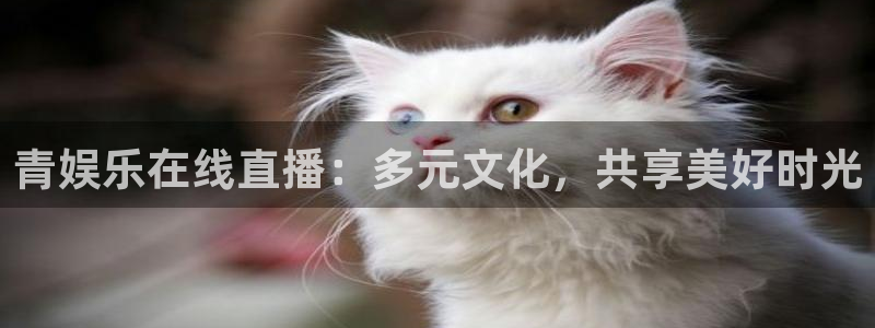 搜球吧零点吧nba直播：青娱乐在线直播：多元文化，共享美好时光