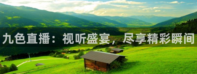 搜球吧手机直播nba直播：九色直播：视听盛宴，尽享精彩瞬间