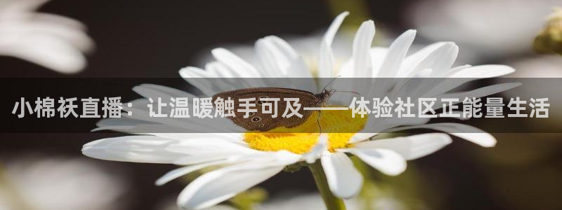 搜球体育官网：小棉袄直播：让温暖触手可及——体验社区正能量生活