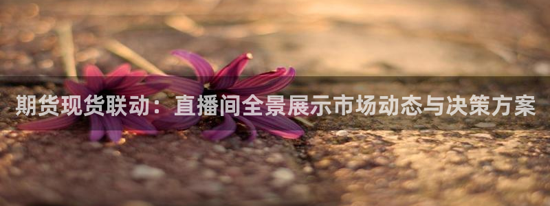 搜球吧直播网：期货现货联动：直播间全景展示市场动态与决策方案