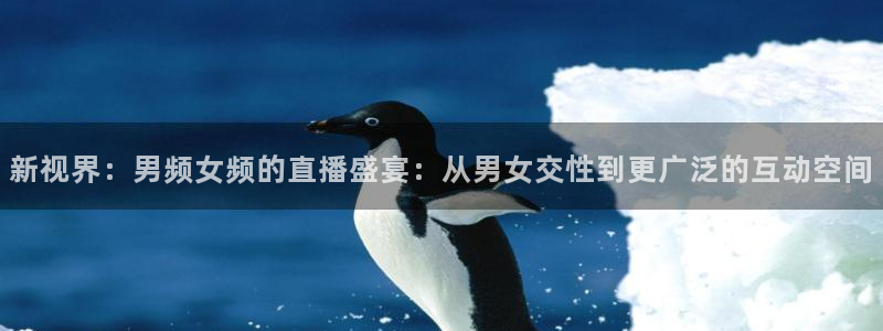 搜球8直播nba直播：新视界：男频女频的直播盛宴：从男女交性到更广泛的互动空间