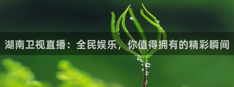 nba搜球吧直播：湖南卫视直播：全民娱乐，你值得拥有的精彩瞬间